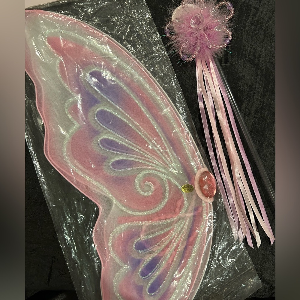 Costume fairy wings and wand